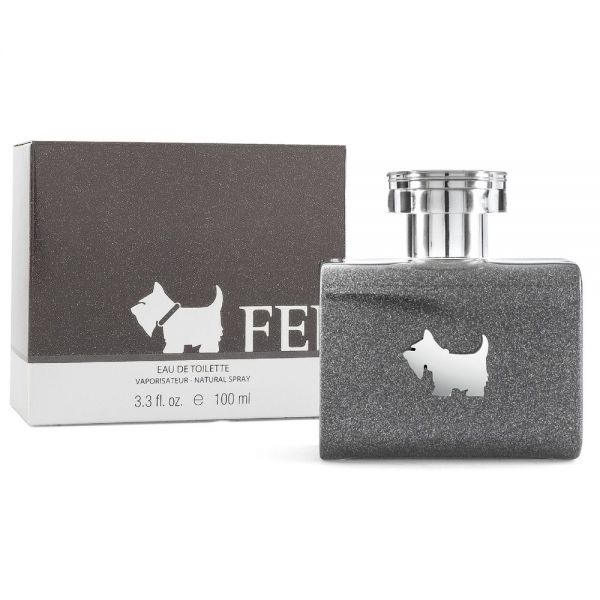 FERRIONI Grey Terrier 100 ml edts (H)